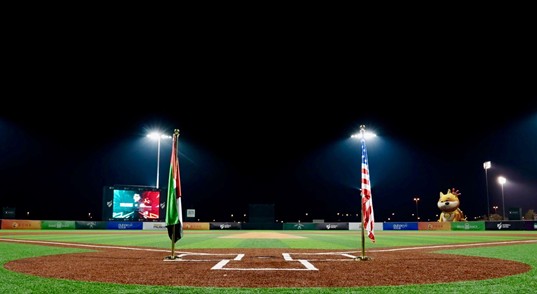 インド 野球リーグ